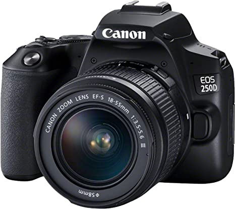 Canon EOS 250D  or Rebel SL3